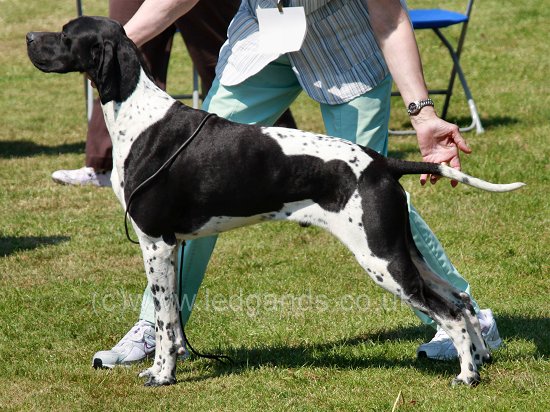 Click to see the Southern Counties Show Album